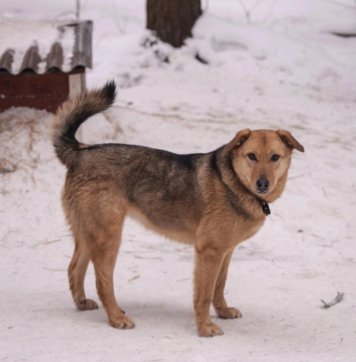 Посмотрите  только  в эти красивейшие глазки-оливки !