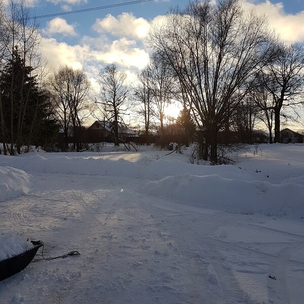 Там, за этими ветлами