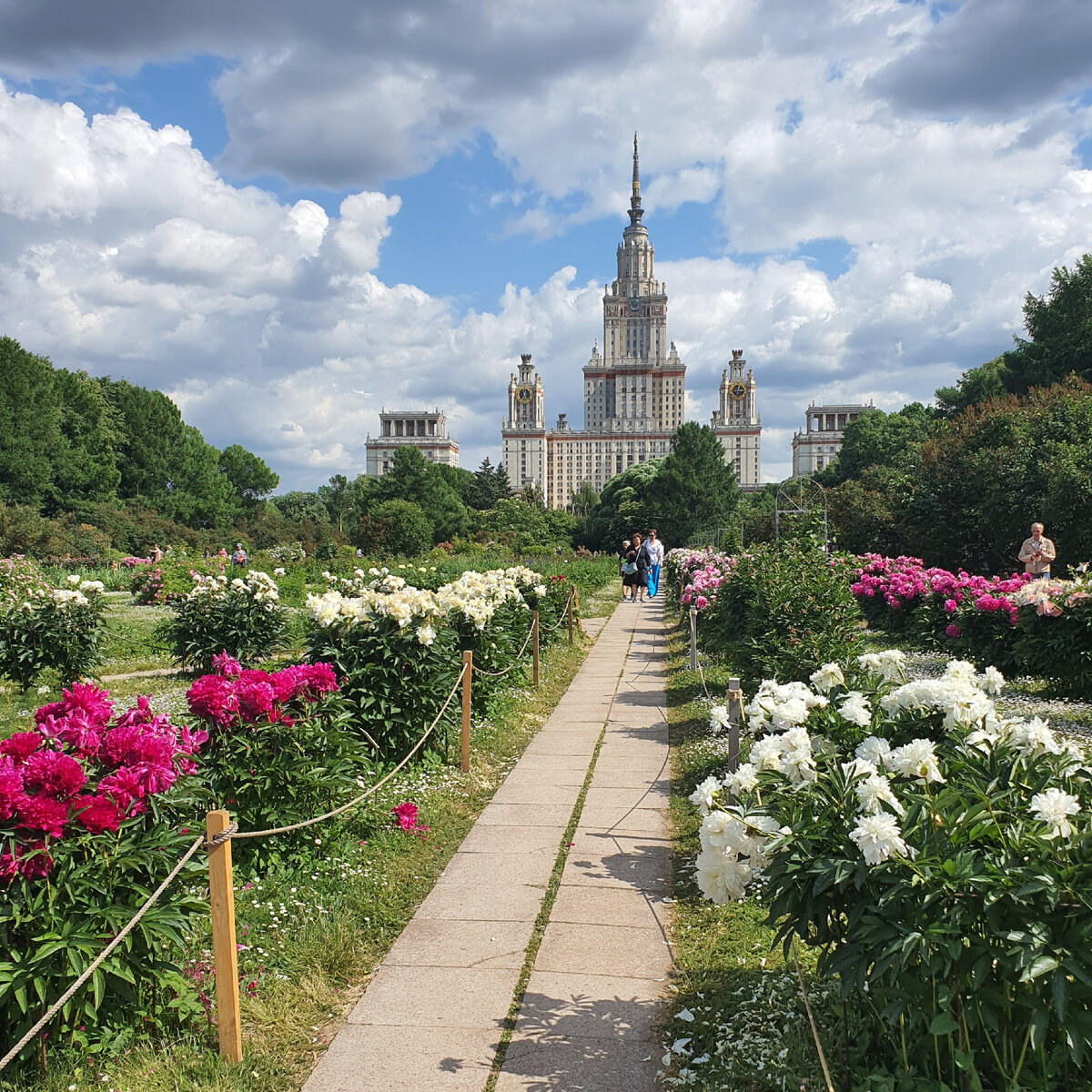 Ботанический сад МГУ Фото: elena.moscow2023 2023 Москва: афиша бесплатных событи