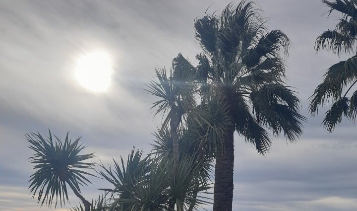 Набережная центрального Сочи...