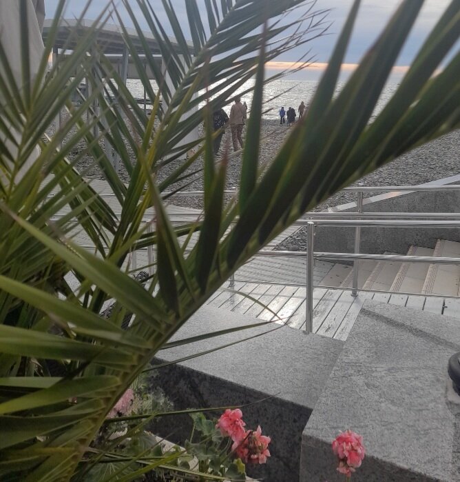 Набережная центрального Сочи...январь месяц...