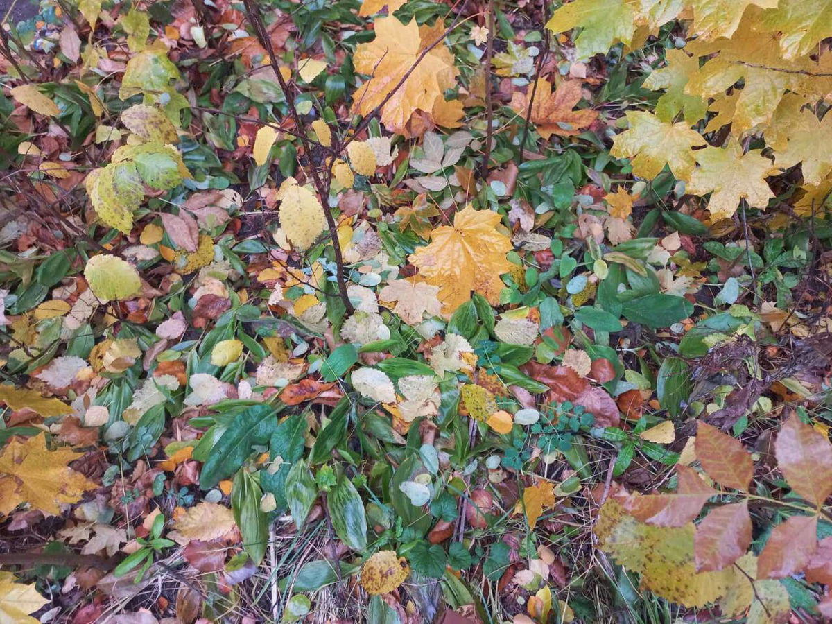 Фото автора.