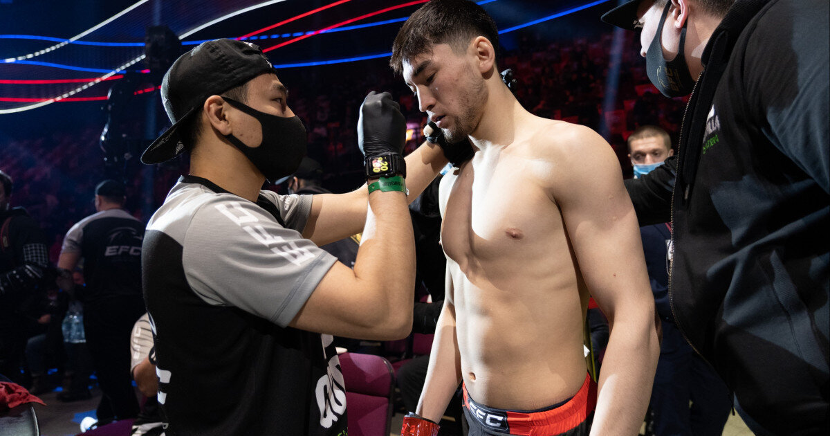 реванш стали. масвидаль усмань. реванш стали. реванш стали. магомед маликов кенни гарнер.