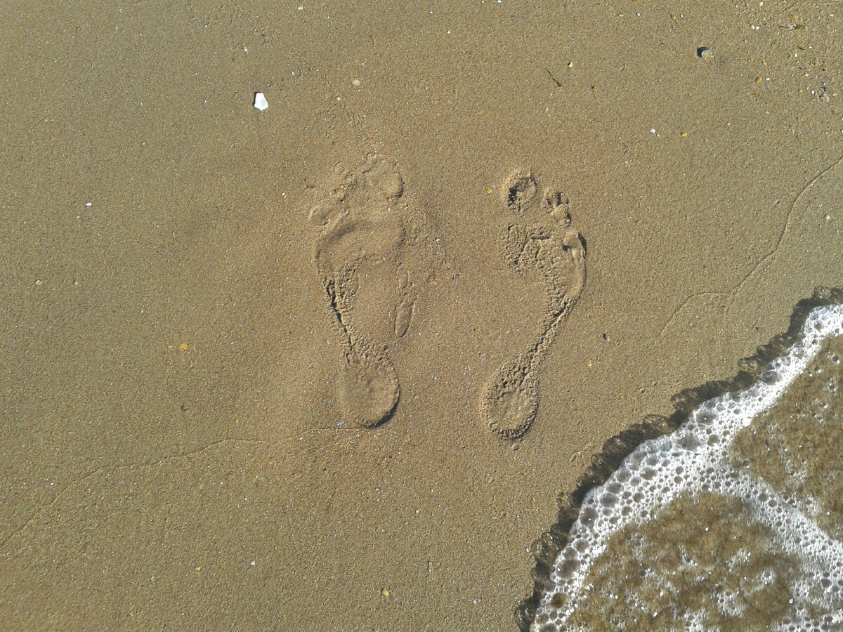 Фото из нашего отпуска 2019 года