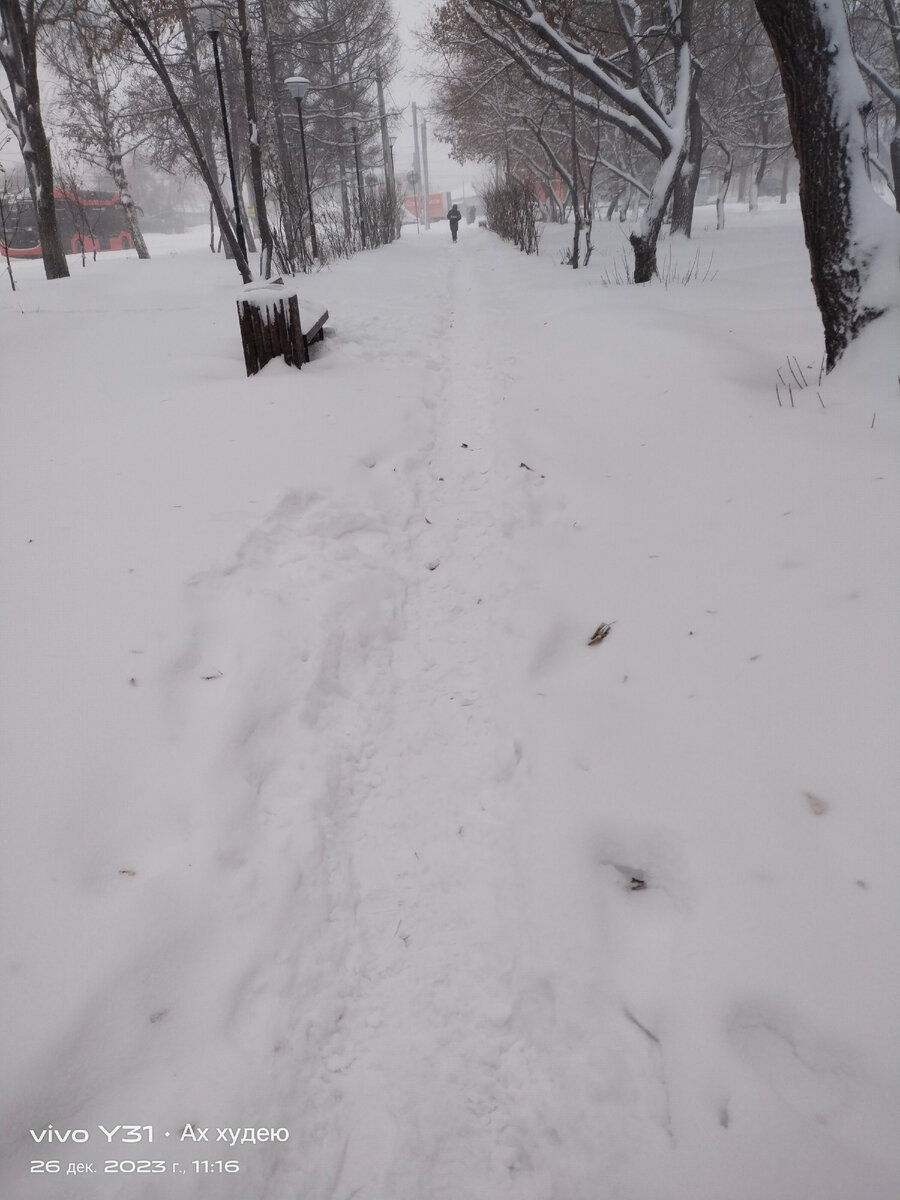 Такими тропками в городе  всю неделю пробирается народ.