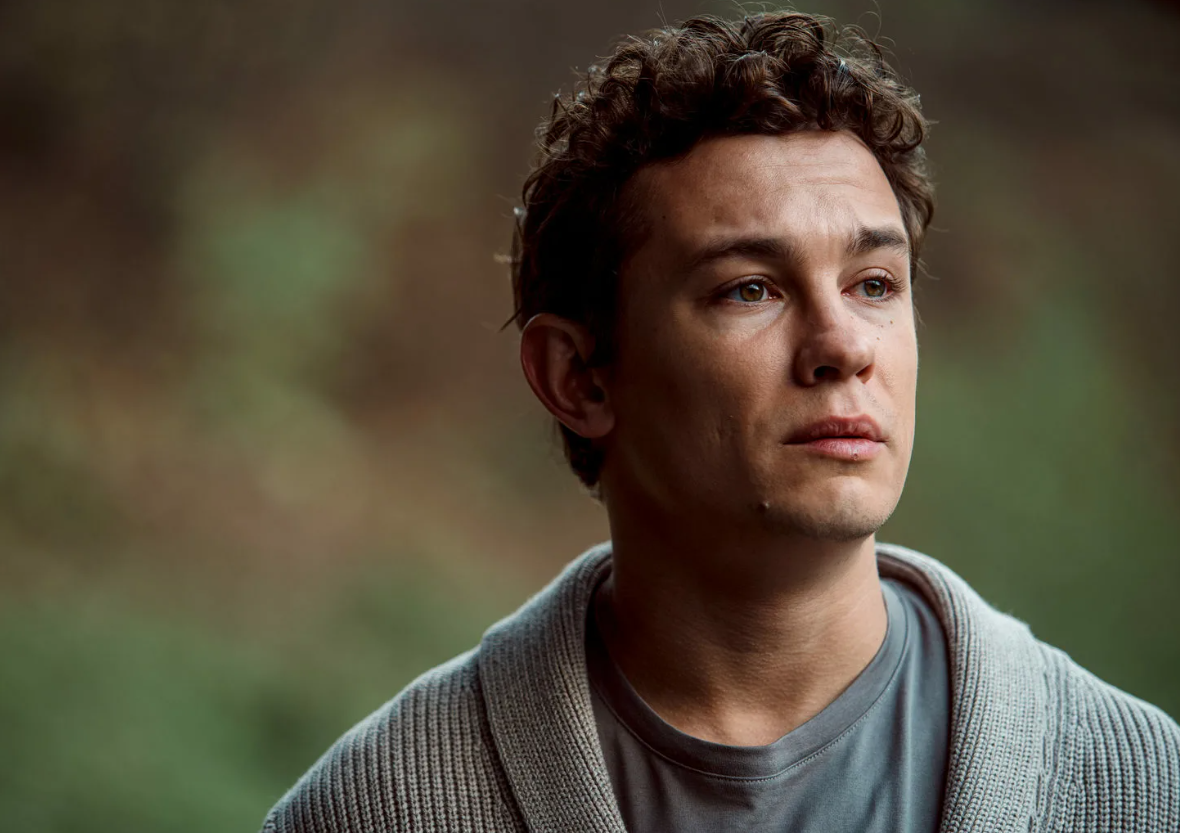 Никита Кологривый. Яндекс. Картинки