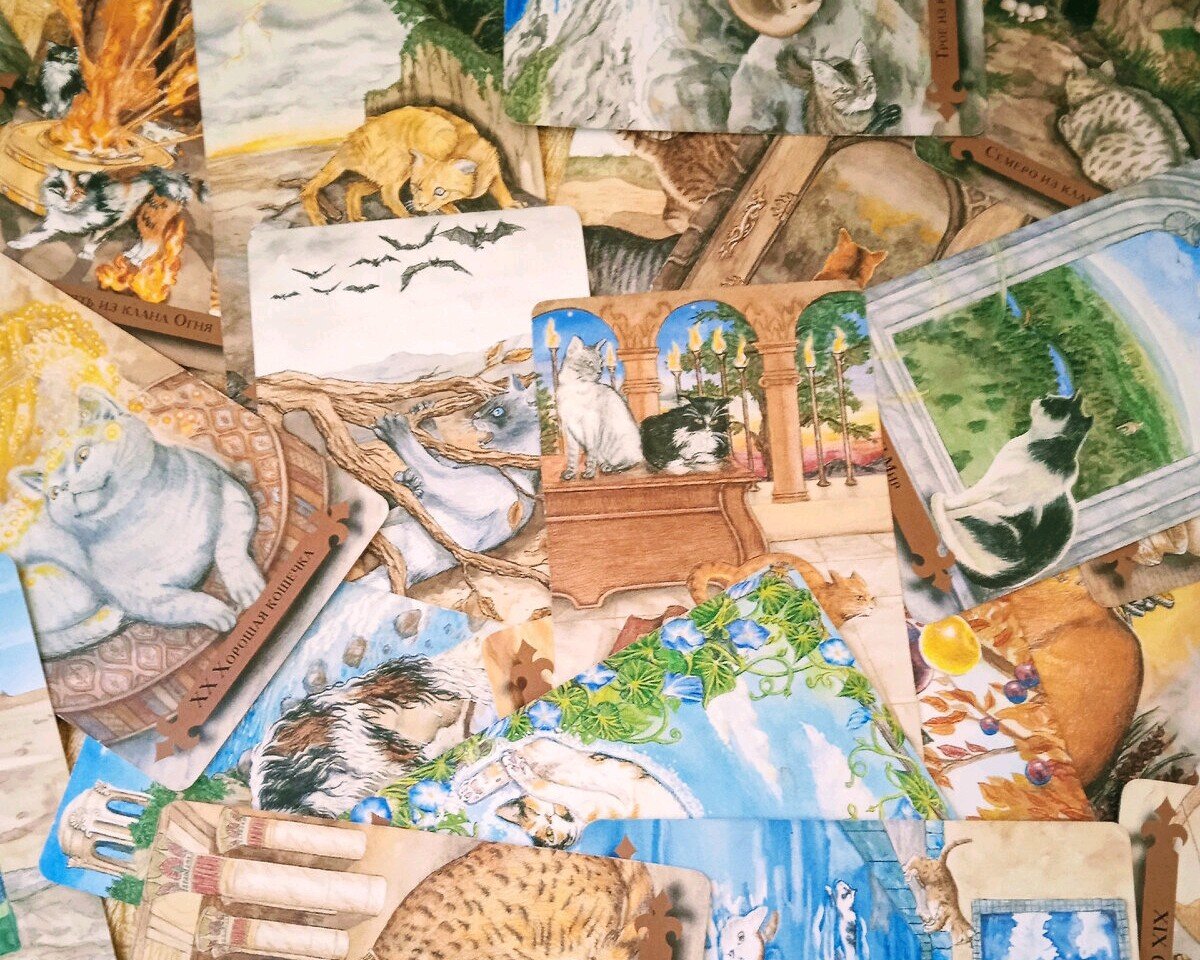 Фото автора. 