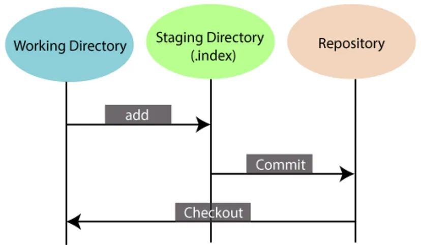 Working dir. Git директория. Staging git. Что такое индекс в git. Git Stage.