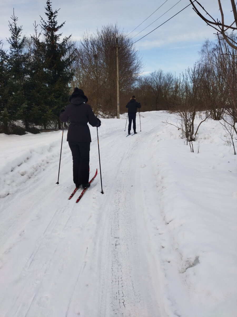 Лыжная прогулка