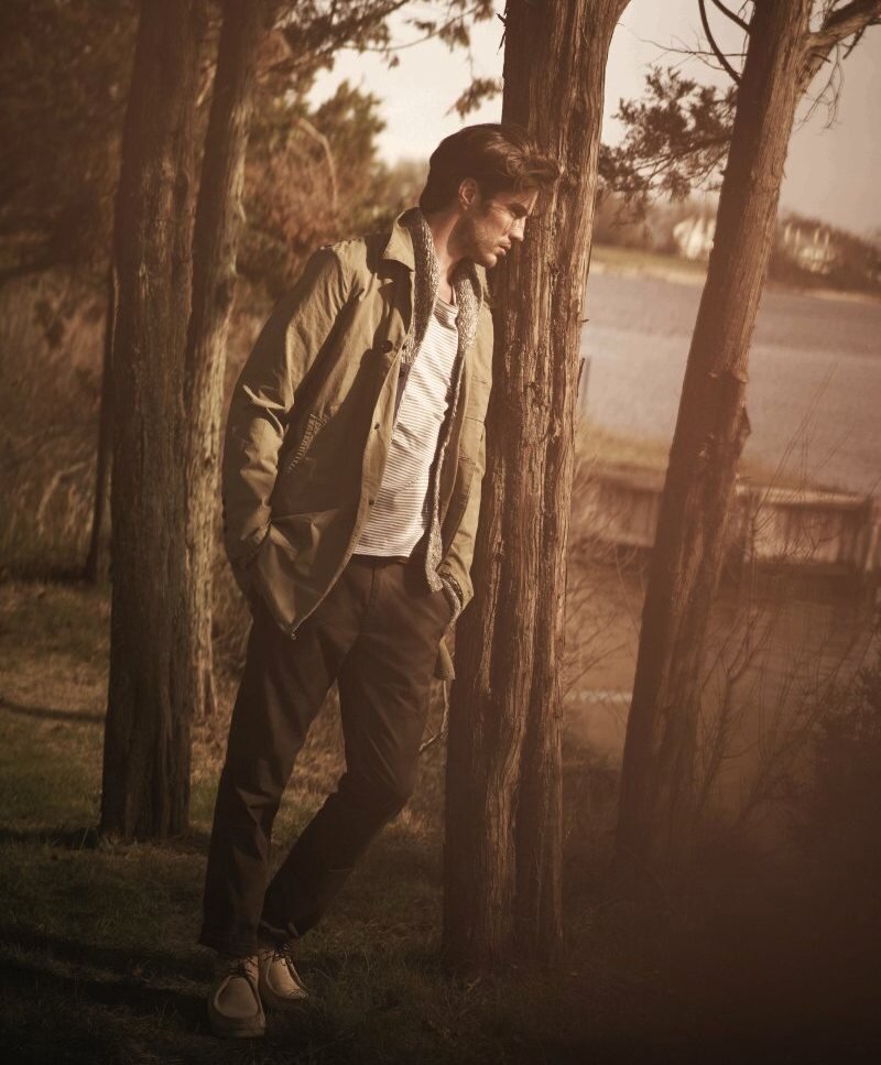 Яндекс картинка