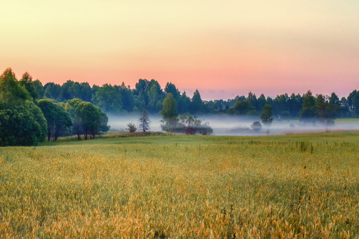 Рассказано в луге