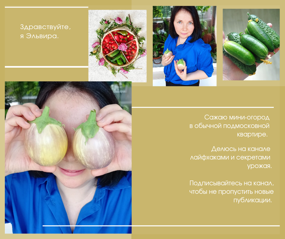 Несколько слов обо мне, авторе канала.
