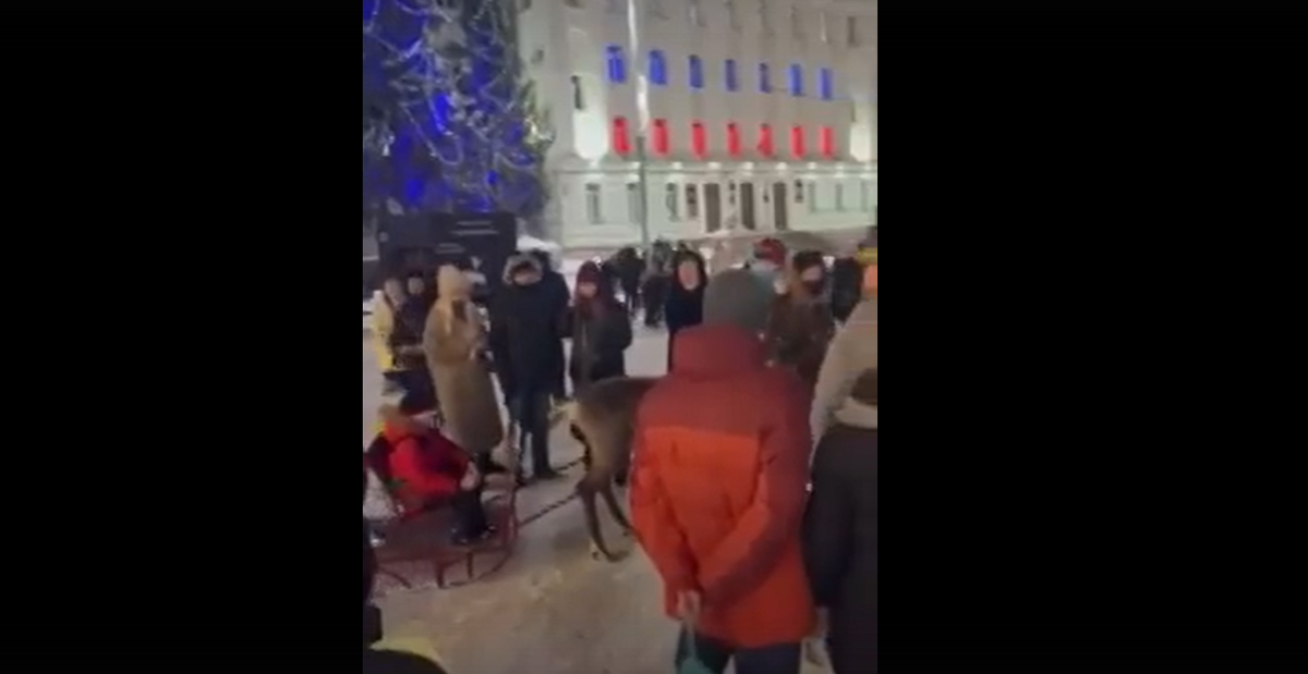 Скриншот видео из сообщества "ЧС Тюмень" во ВКонтакте