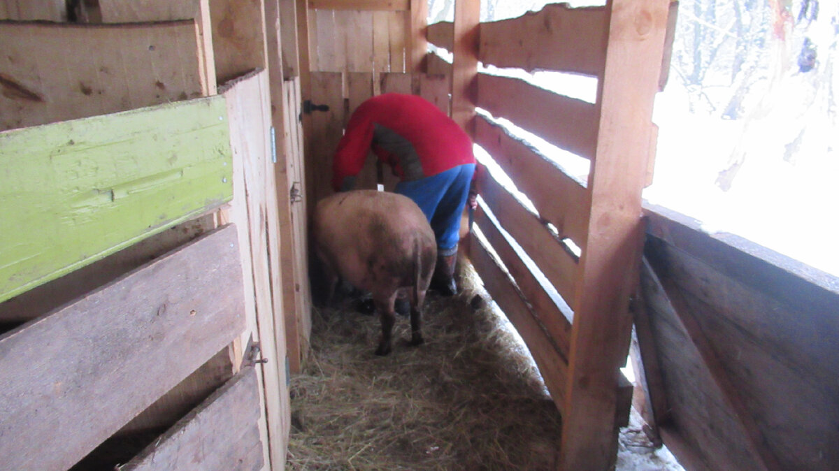 За секунду до.