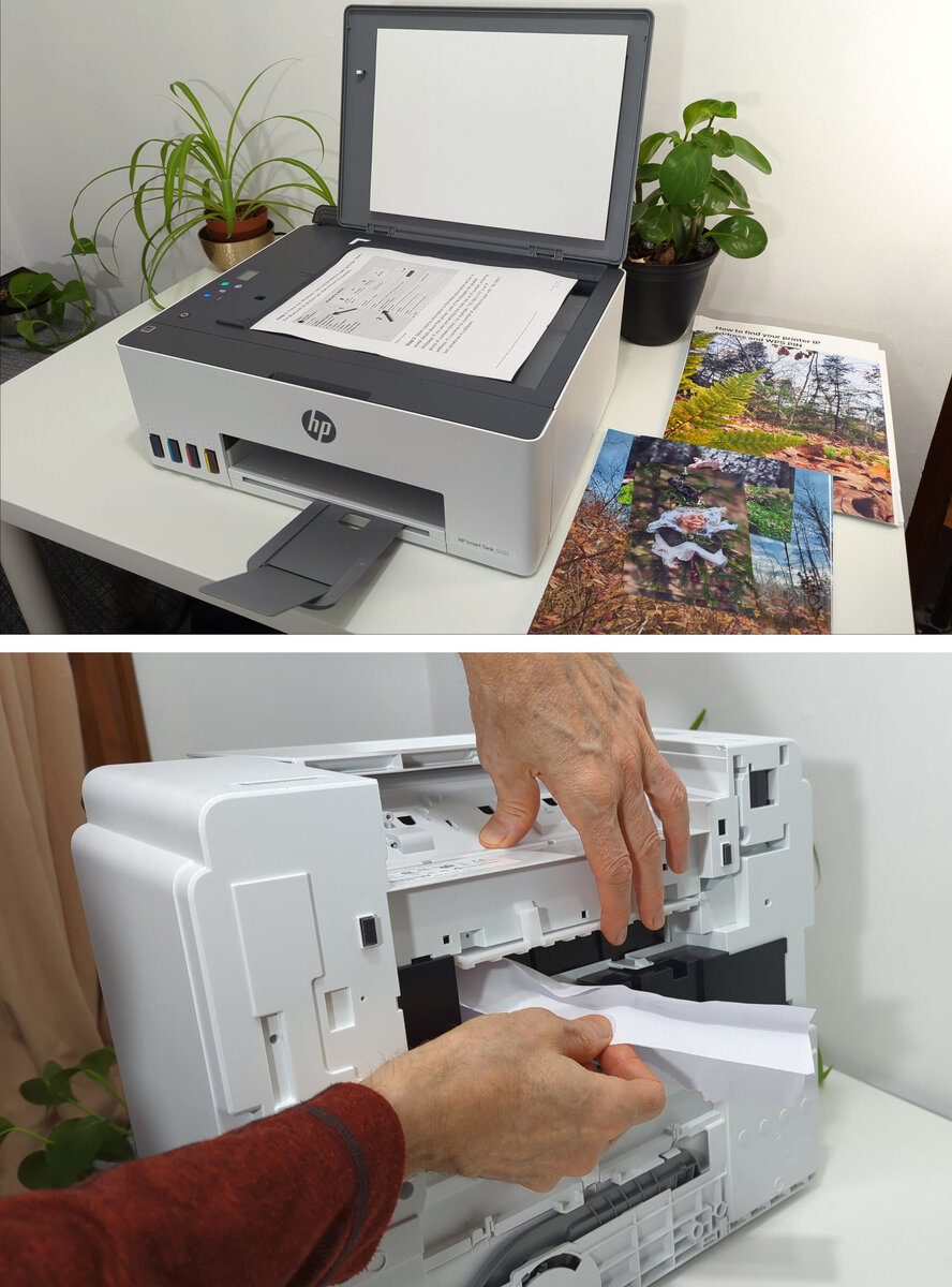 Обзор HP Smart Tank 5101 Ника креатив Дзен