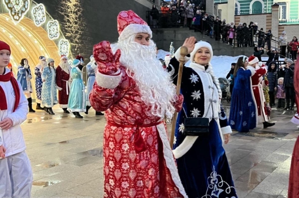    В Рязани из-за морозов внесли изменения в программу новогодних праздников