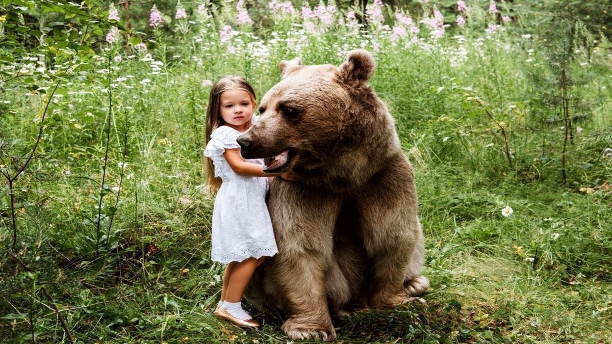 Обидились. Красивый медведь. Добрый медведь. Фотосессия с медведем. Девочка и медведь.