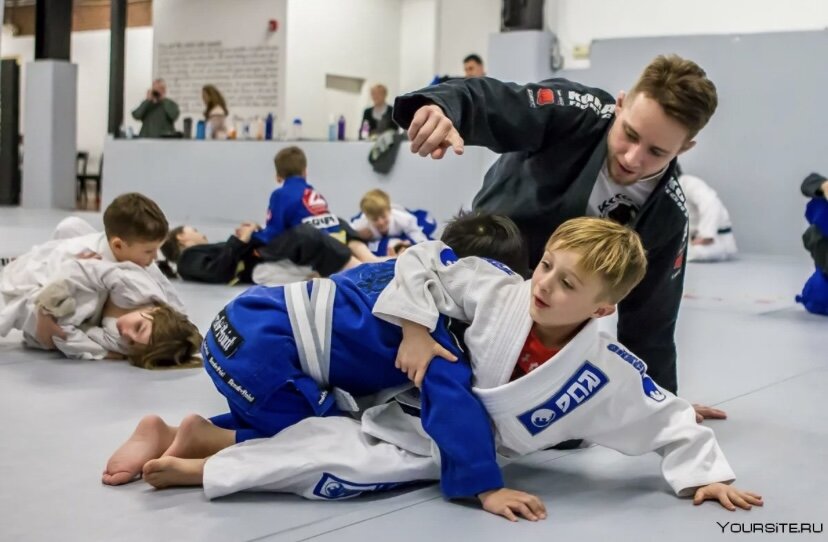 Спорт единоборства