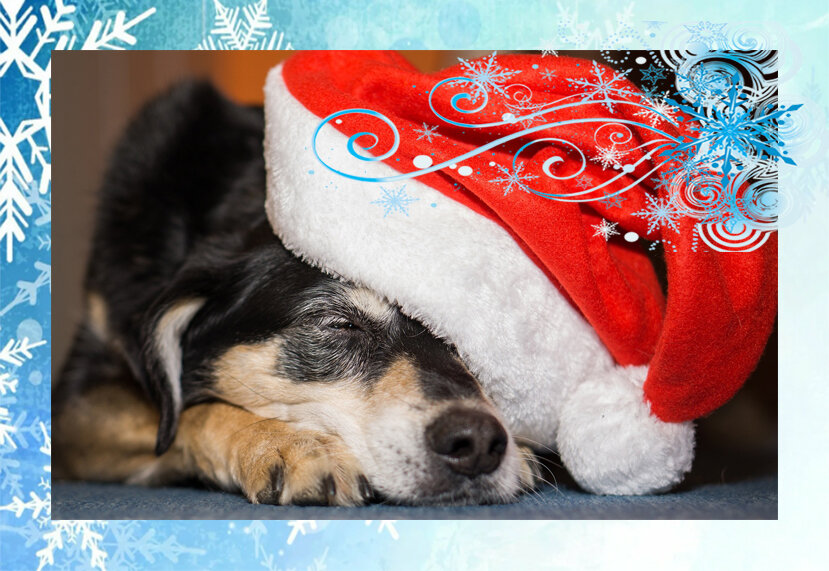 Таро для Овнов на отношения - pxhere.com/ru/photo/1402487