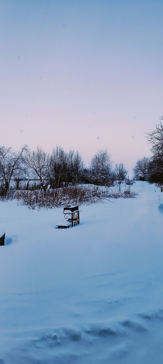 Утренний зимний вид из нашего окна