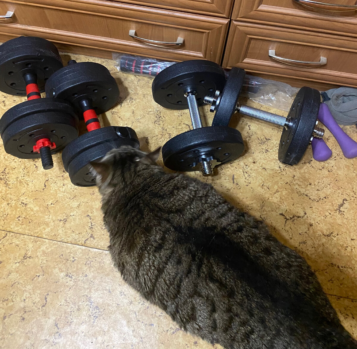 Спортинвентарь как пишется