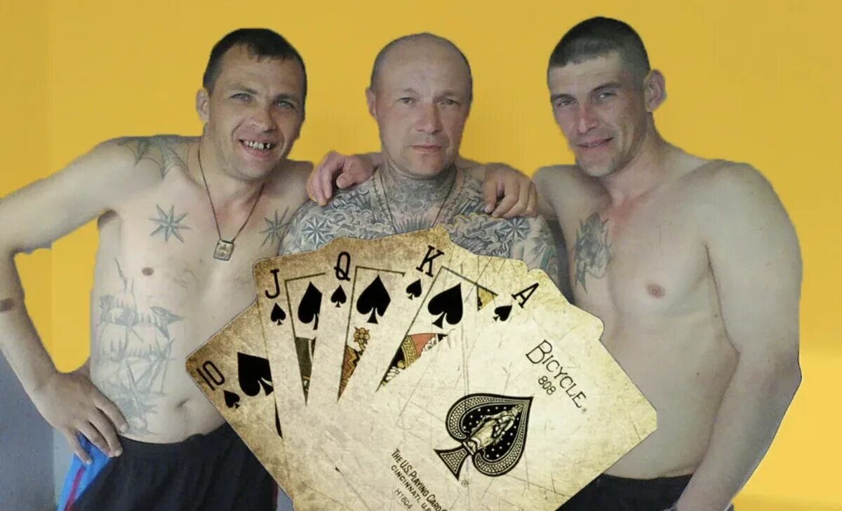 Фото: Яндекс картинки 