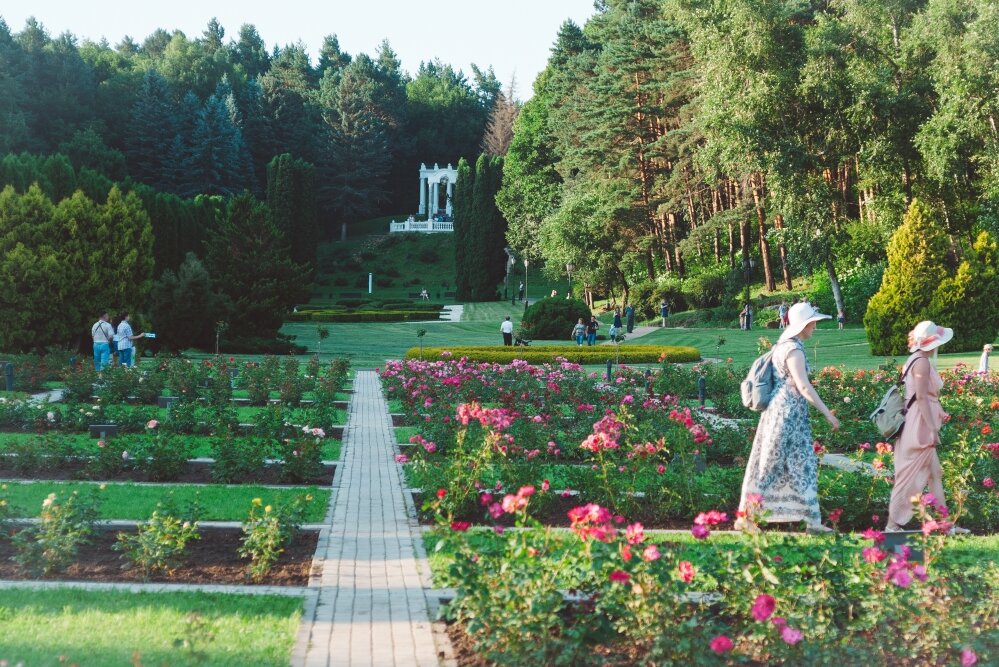 Розы кишинев. Долина роз Кишинев. Парк роз в Кишиневе. Долина роз Ессентуки. Кисловодск парк Долина роз.