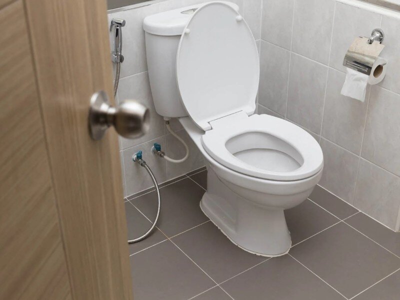    Учёные из Турции придумали скользящее антибактериальное покрытие для унитаза