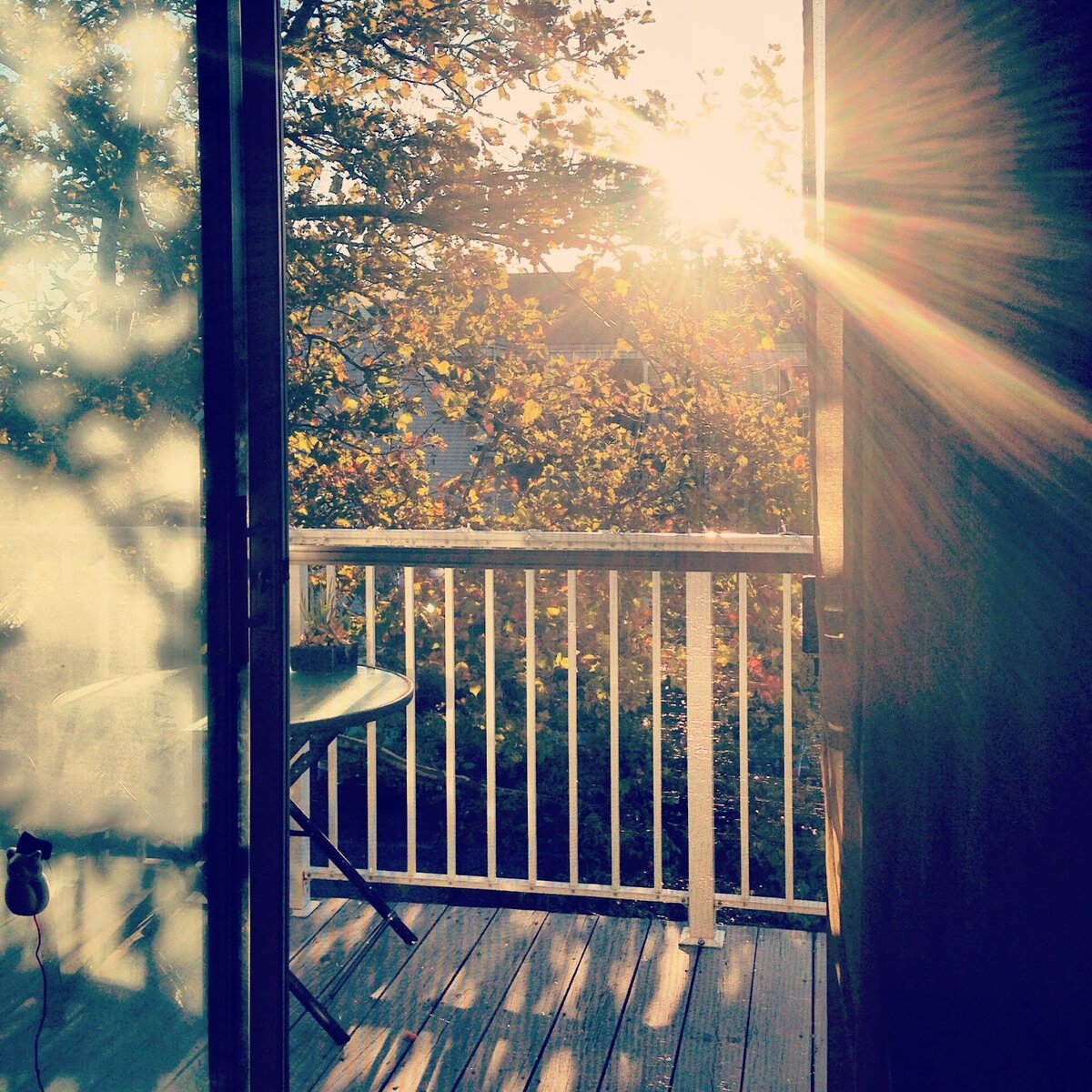 Со всех уголков света. Солнце в окне. Луч солнца в окне. Солнечное утро в окне. Солнечные лучи в окне.