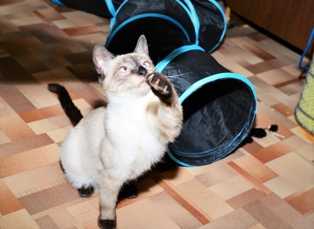 Благодарю за фото Жорика Ксюшу БЕКИРОВУ)