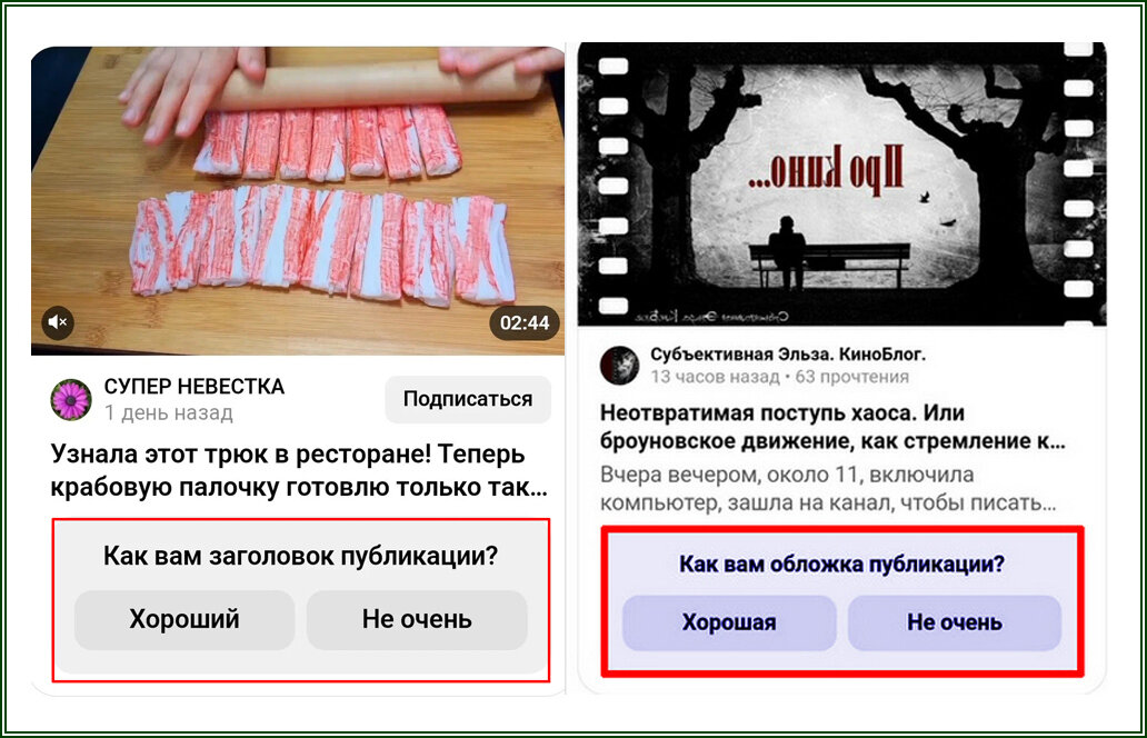 Фидбеки Толокольникова