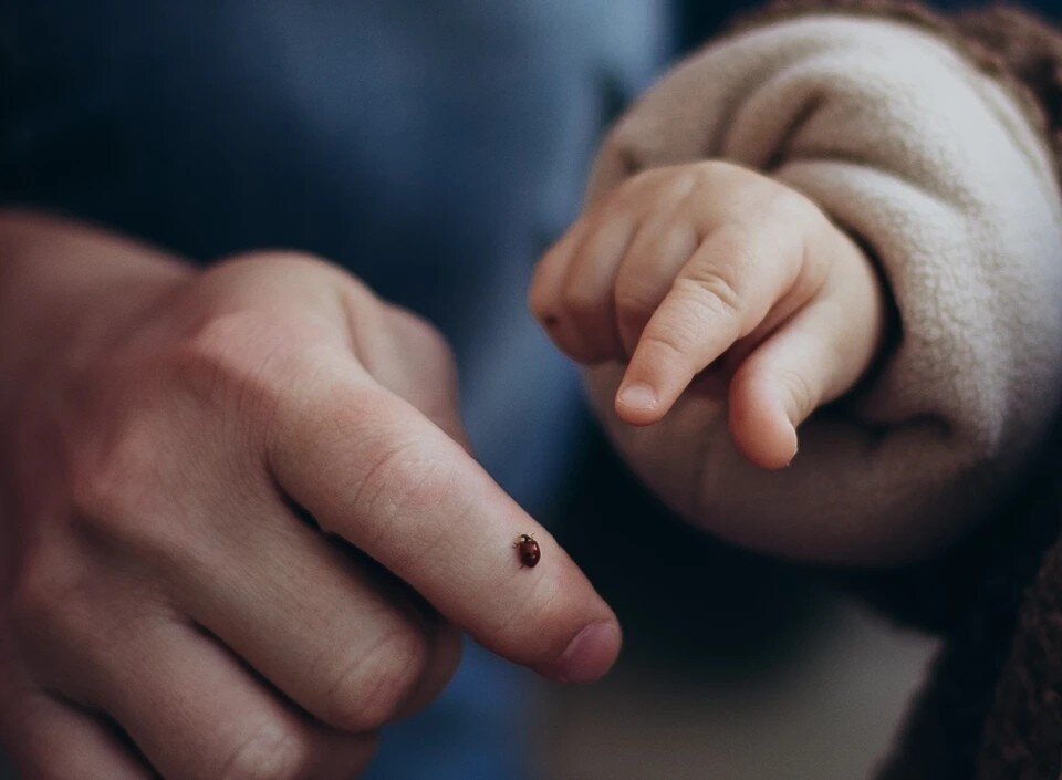    Новогодняя ночь с 31 декабря на 1 января в роддомах Коми прошла спокойно Дарья КИНЗИКЕЕВА