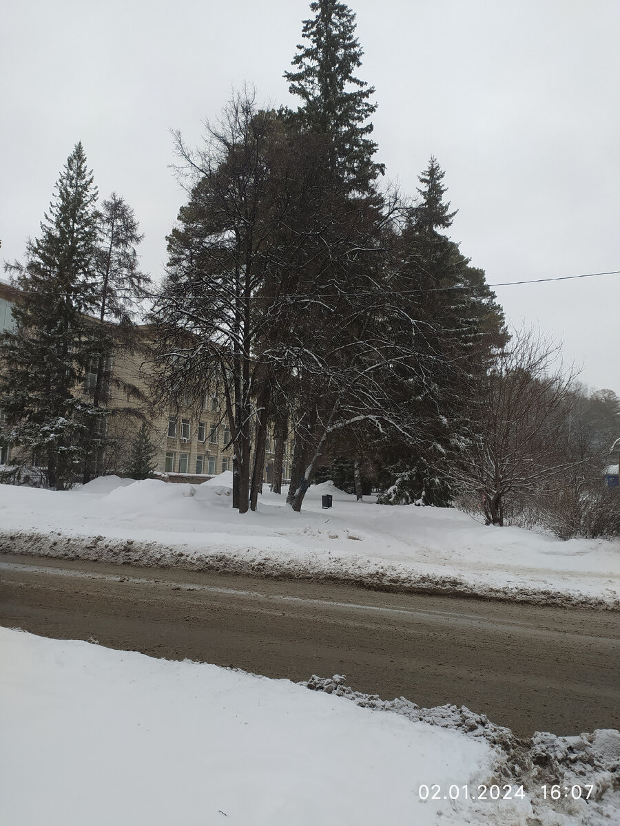 Старый главный корпус НГУ . Именно его вы можете увидеть на фото ваших родителей.