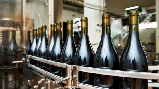    РИА Новости: Россия вошла в десятку крупнейших импортеров игристого вина Ирина Петрова