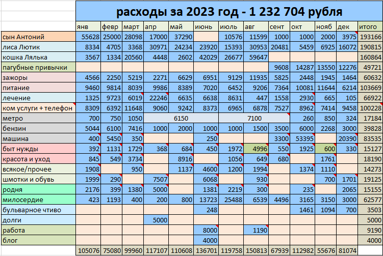 мои расходы