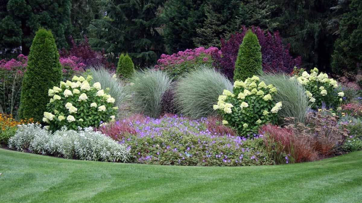 Подбор. Продажа. Уход за растениями от садового центра Green Space