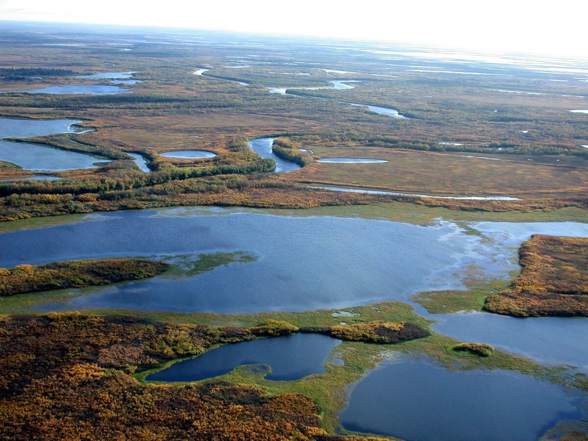 Большеземельская тундра. Ненецкий автономный округ заповедник. Природный заповедник Гыданский.