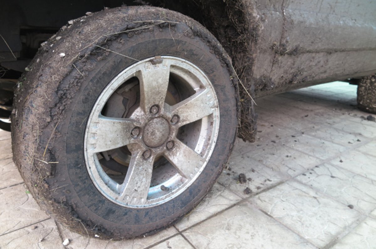    Под Волгоградом сосед жестоко избил учителя на пенсии, испортившего газон