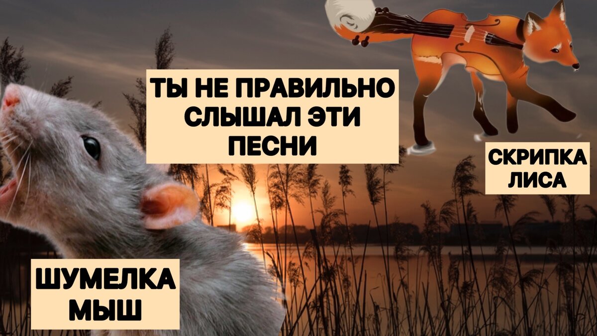 Песня слышишь кто то