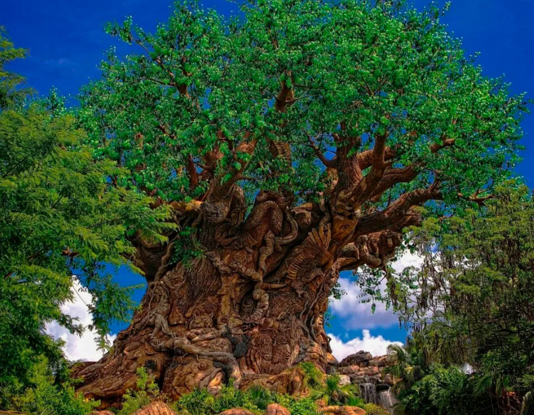 Прочное-невкусно, вкусное-непрочно