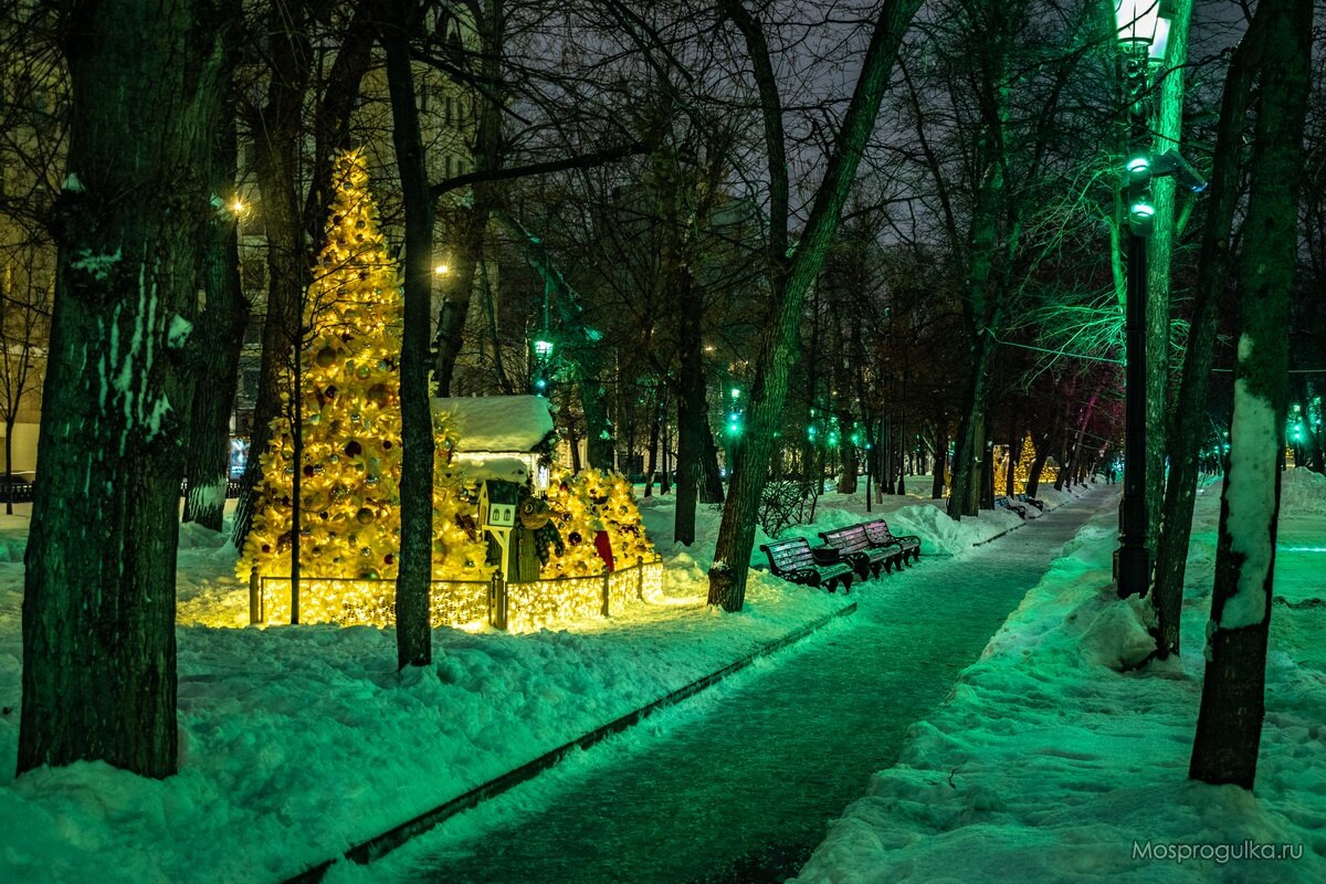 Новогодняя Москва: большая прогулка по роскошно украшенной столице |  Моспрогулка | Дзен