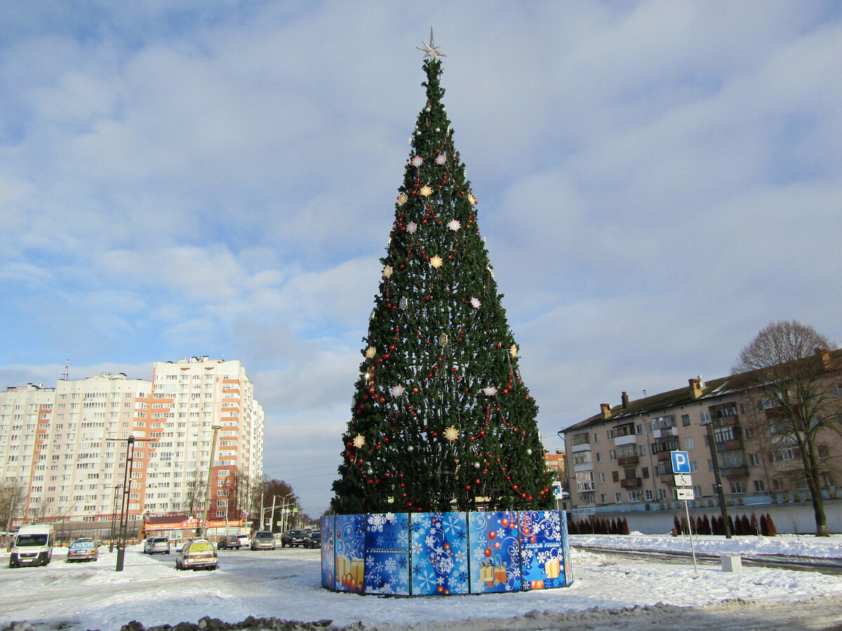 Когда ставить елку в 2025 году. Когда ставить елку в 2025 году