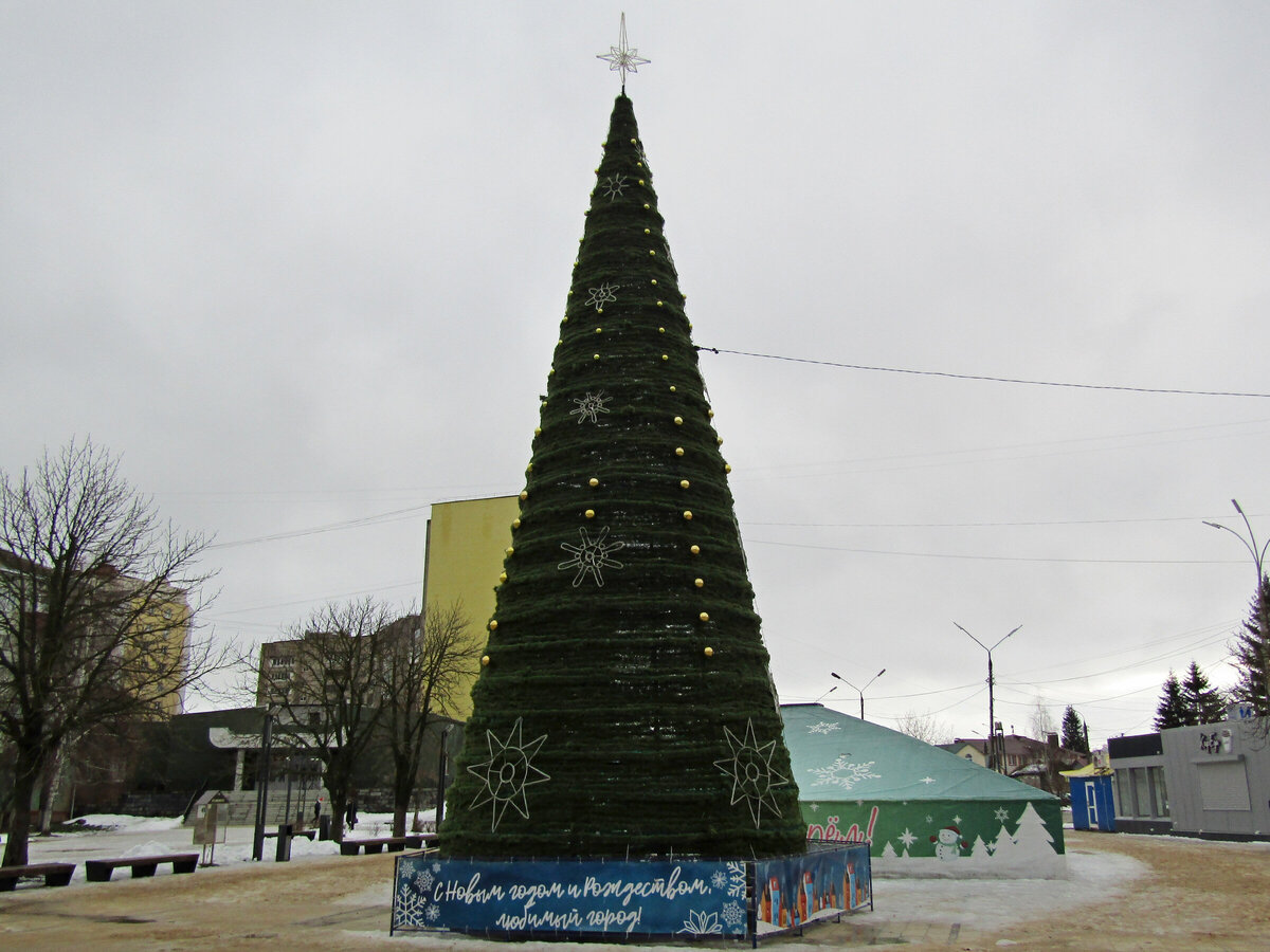 Елки 2023 фото