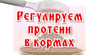 Как отрегулировать содержание протеина в кормах. Открываю свои секреты.