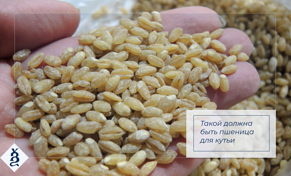 Если фото поможет...