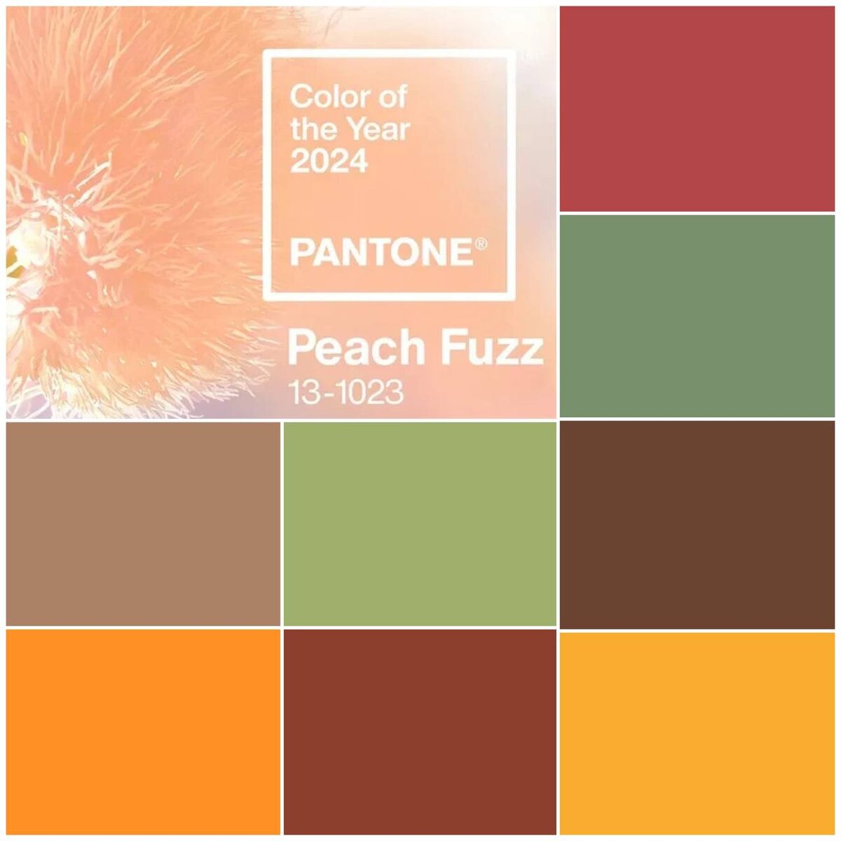 Актуальные цвета мебели на 2024 год и главный цвет 2024 года от Института Pantone. Источник: pantone.ru