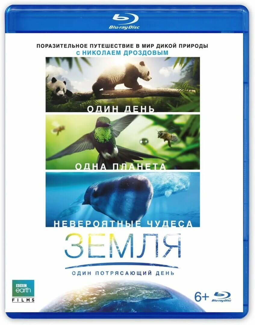 Картинка с просторов интернета