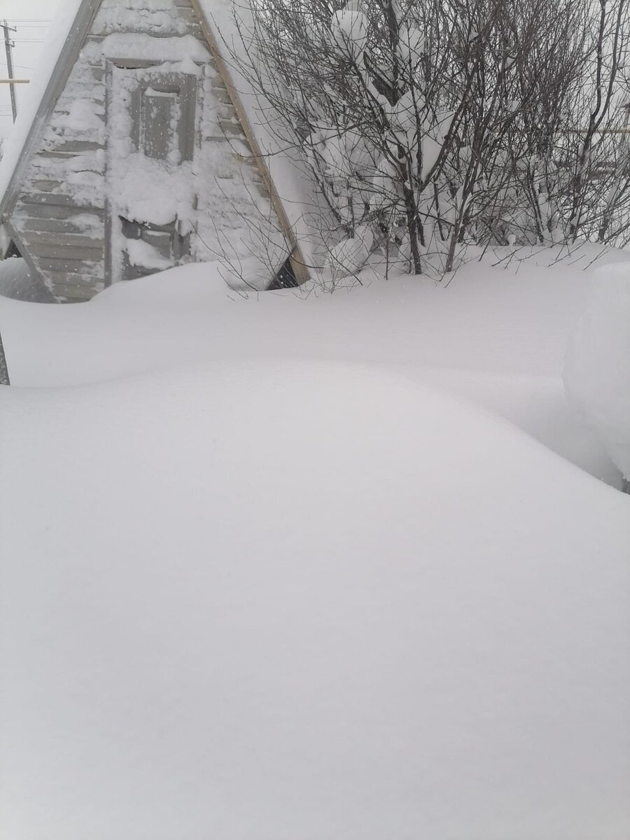 Зимний парк. Вивальди зима фото. Нормальную зиму. Антон зима. Нормальную зиму.