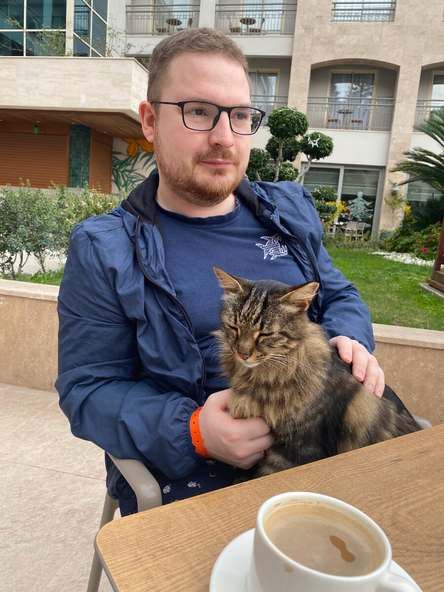 Котики иногда запрыгивают на колени, ластятся и мурлычат