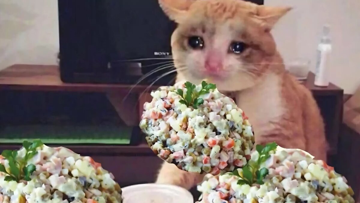     Эта проблема знакома каждой хозяйке: после ударной работы 31 декабря на кухне в холодильнике скапливаются тазики не доеденных новогодней ночью «шуб», «мимоз» и короля каждого российского праздника — салата «оливье». Выбросить жалко, но салаты не кончаются. Что делать?